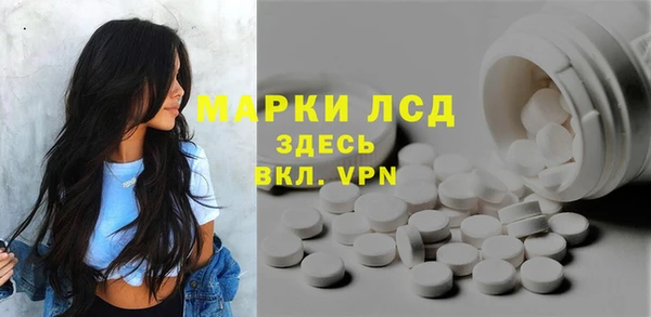 spice Медногорск