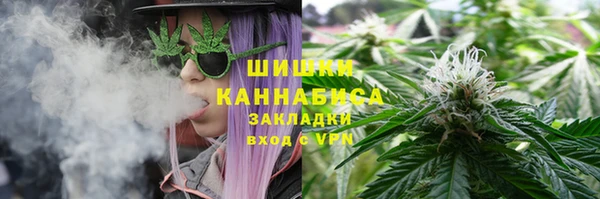прущие крисы Мегион