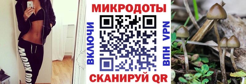 Купить  Полесск  Псилоцибиновые грибы прущие грибы 